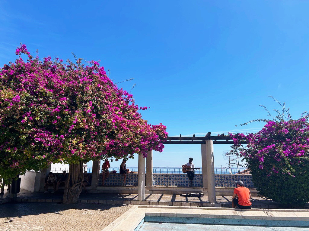 man playing guitar next to pink flower tree
