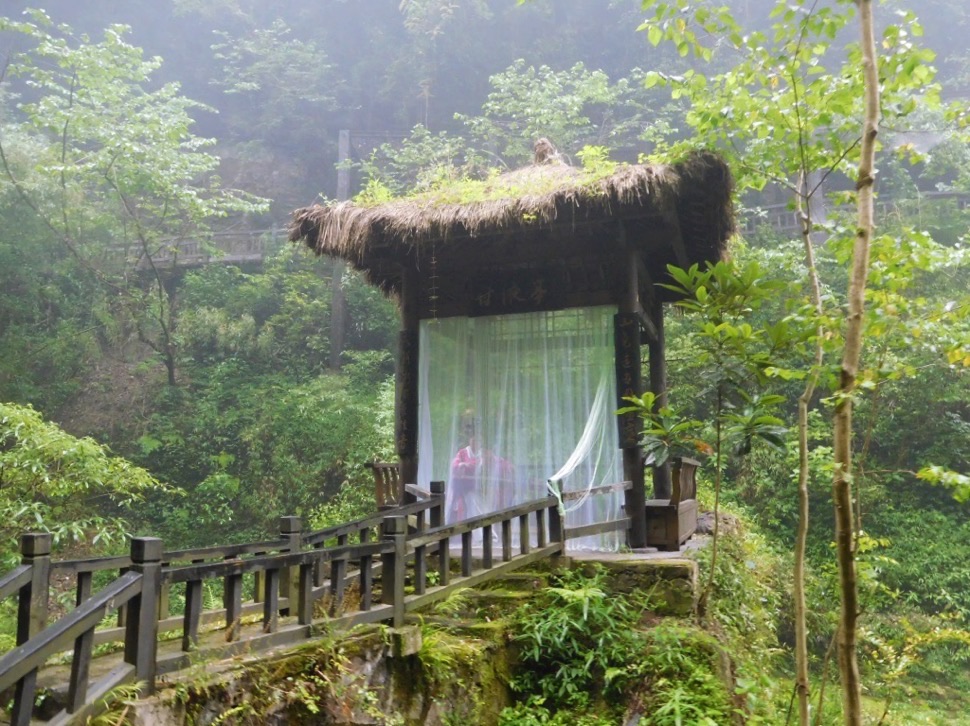 veiled pavilion in the middle of yangtze river jungle