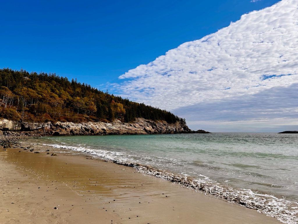 Empty sand beach with water rolling up onto the shore and fall trees in backdrop