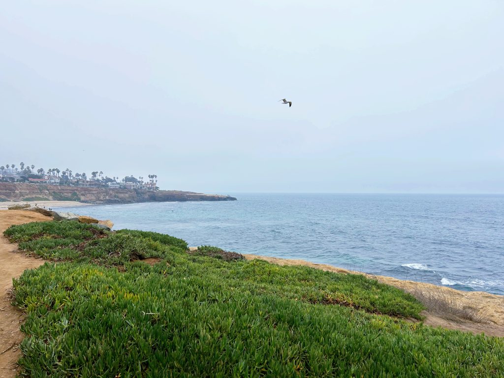 sunset cliffs on an overcast day san diego