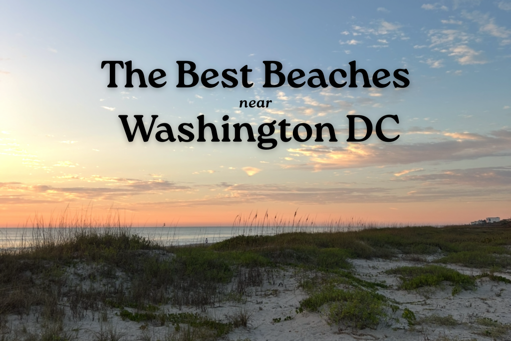 text: the best beaches near washington dc. Background: dunes in front of a beach at sunrise