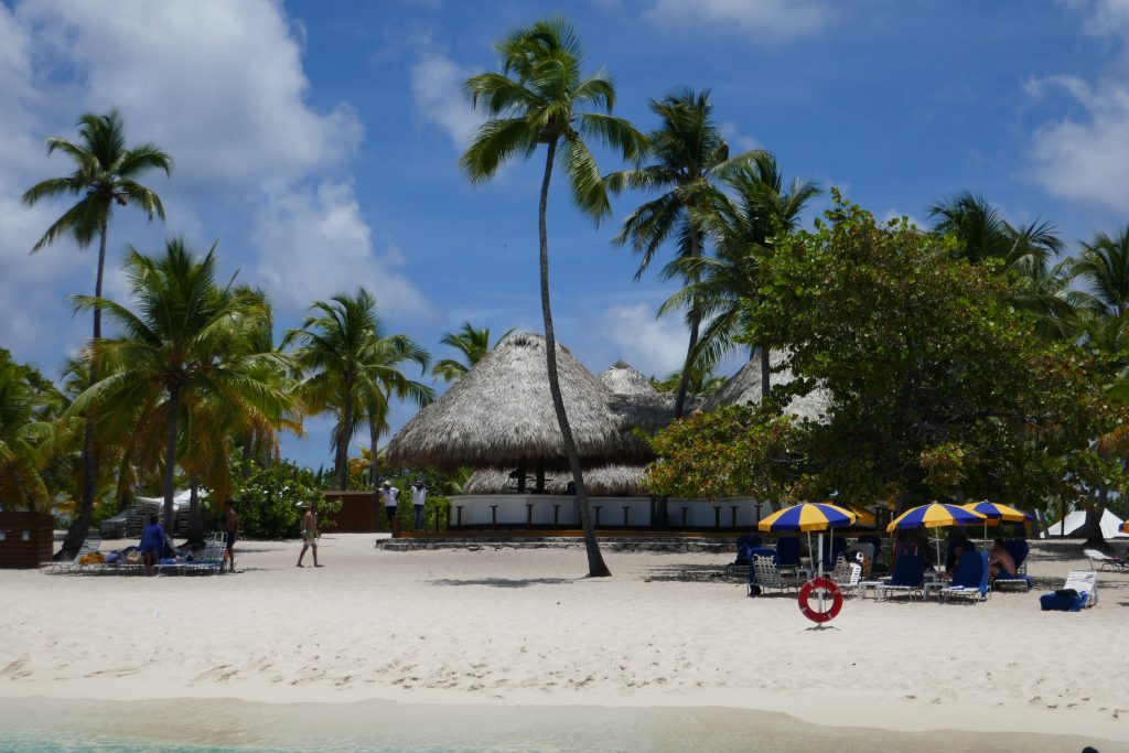 white sand beach with palm trees and umbrellas and a hay service bar
