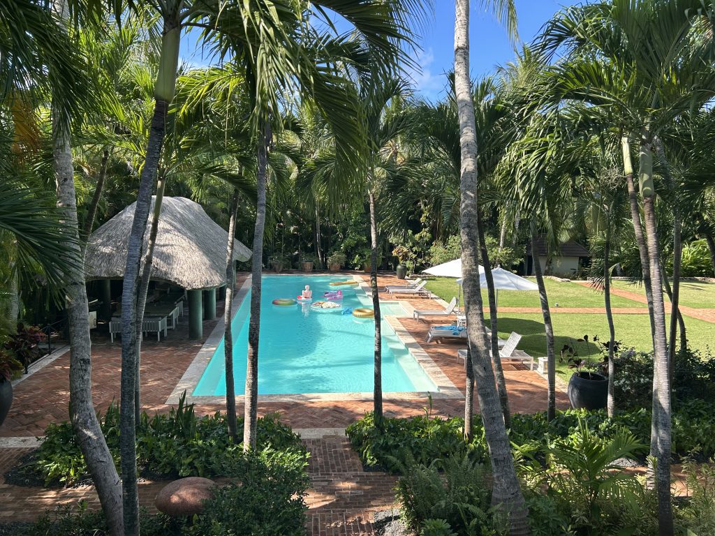 pool in yard with palm trees and cabana