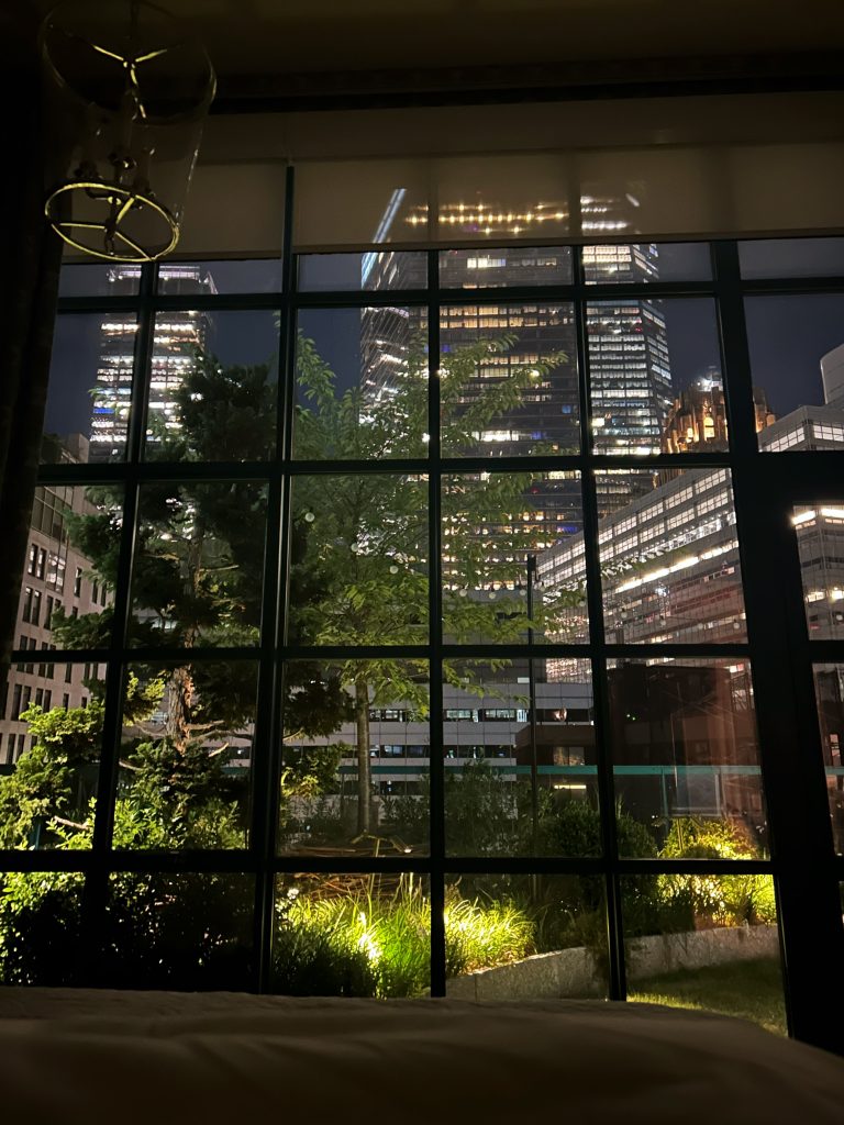 city skyline through tall glass door windows