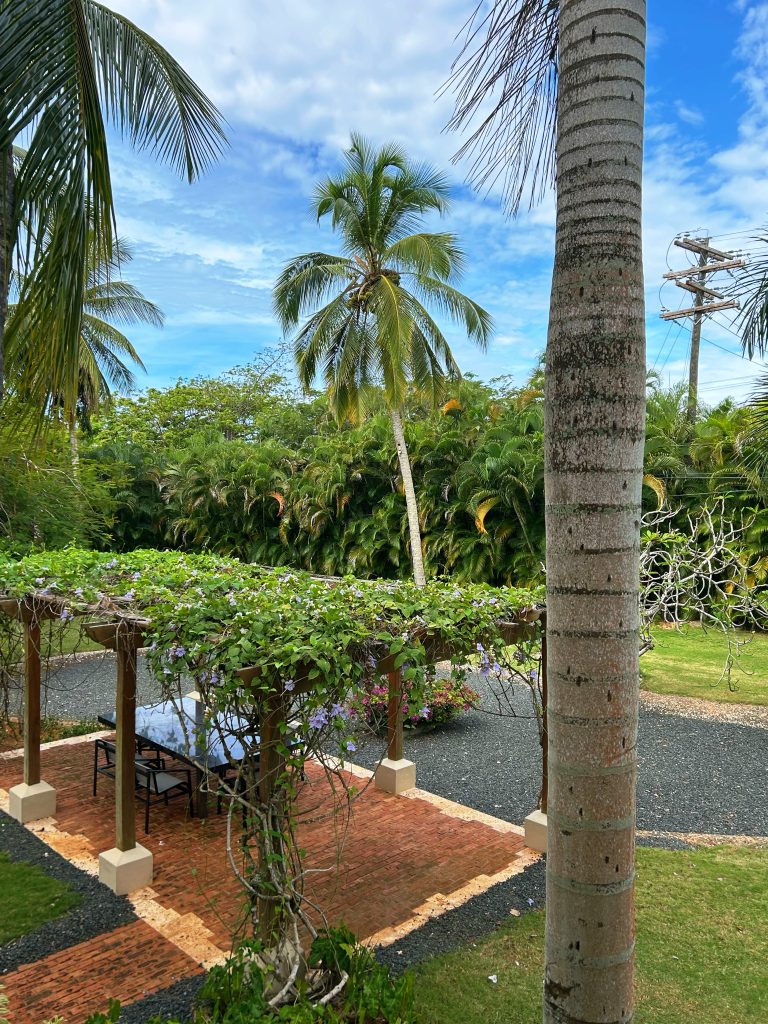 dining area under a vine covered trellis