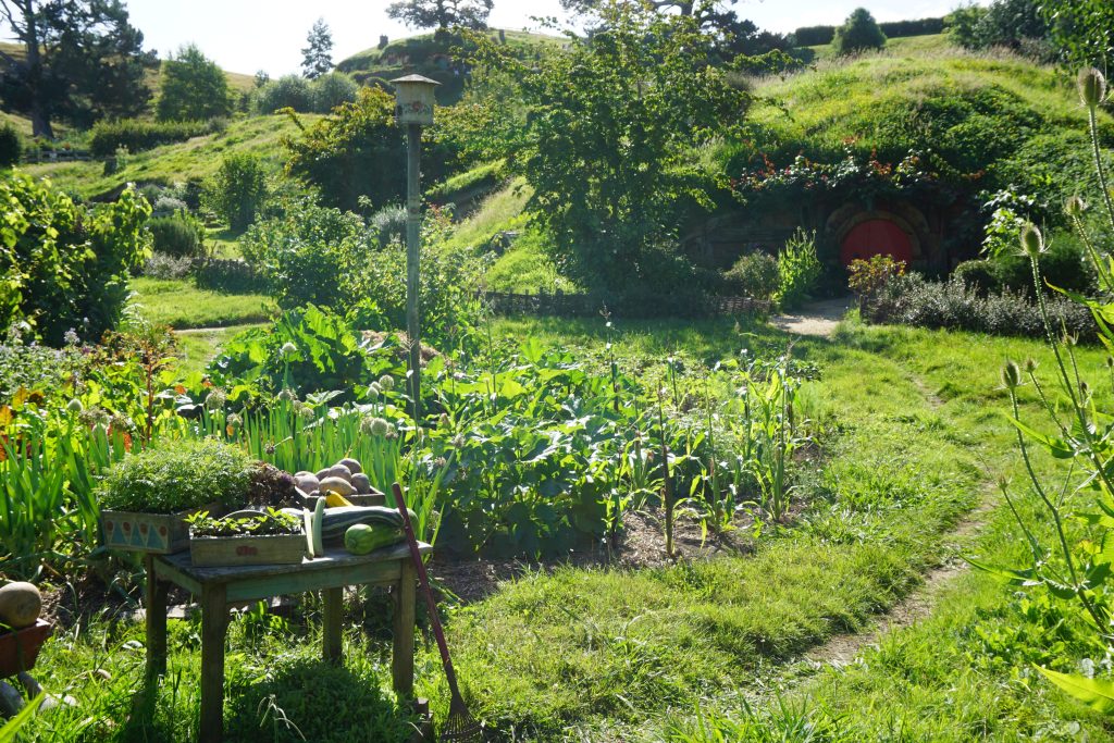 fruit stand in a hobbit garden