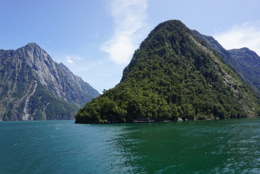 green mountain with bright blue water in milford sound fiord